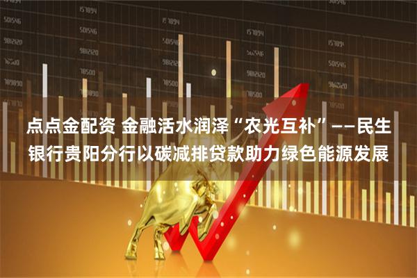 点点金配资 金融活水润泽“农光互补”——民生银行贵阳分行以碳减排贷款助力绿色能源发展