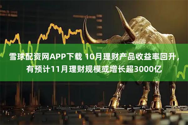 雪球配资网APP下载 10月理财产品收益率回升，有预计11月理财规模或增长超3000亿