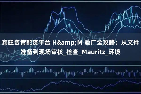 鑫旺资管配资平台 H&M 验厂全攻略：从文件准备到现场审核_检查_Mauritz_环境