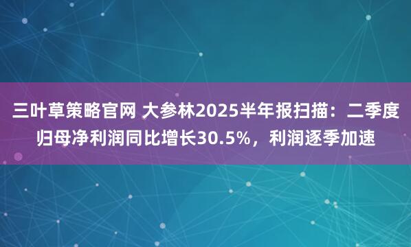 三叶草策略官网 大参林2025半年报扫描：二季度归母净利润同比增长30.5%，利润逐季加速